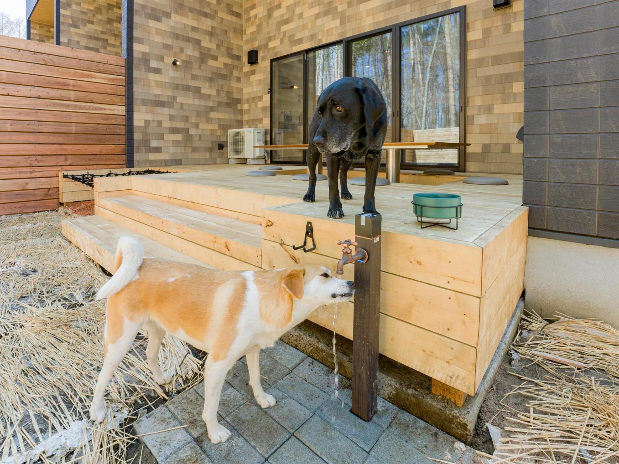 Rakuten Stay Villa Fujikawaguchiko Forest Exterior photo