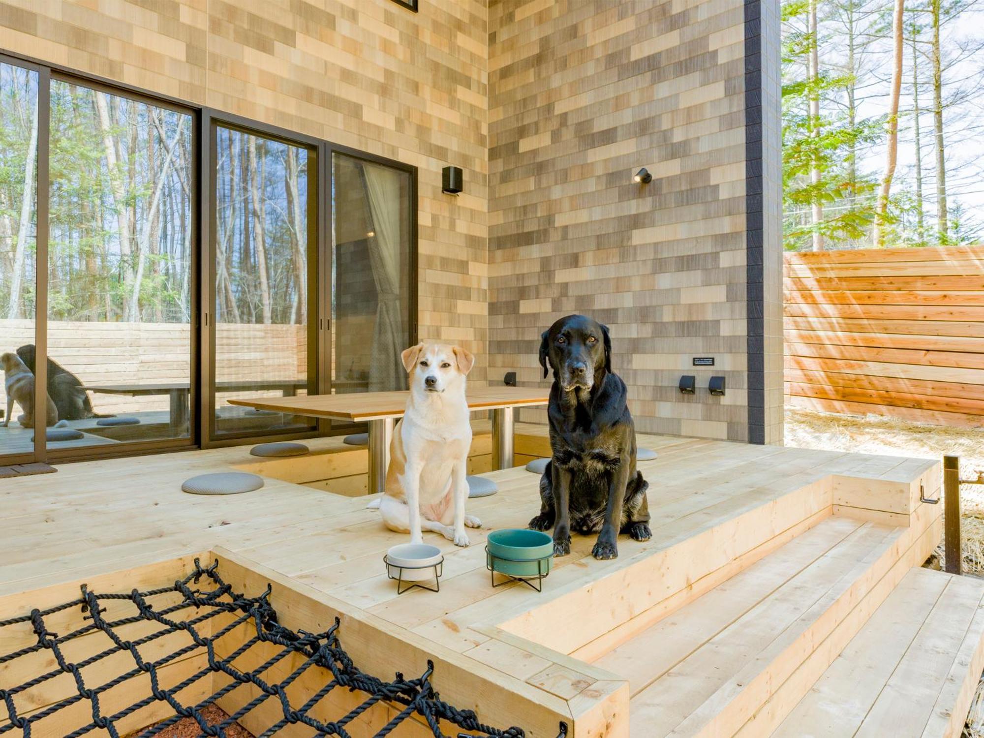 Rakuten Stay Villa Fujikawaguchiko Forest Exterior photo